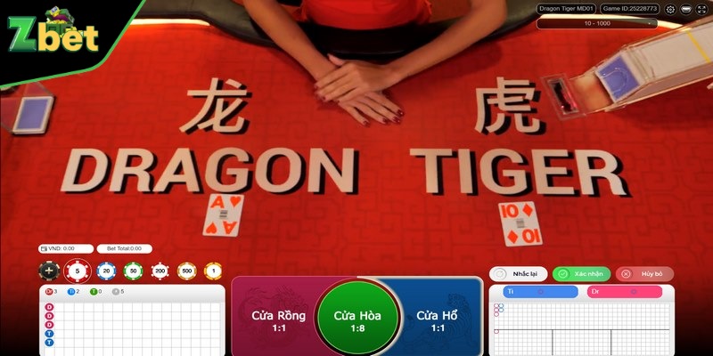 Những thuật ngữ cơ bản trong cách chơi rồng hổ 